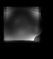 bad_brain_shape_var_out